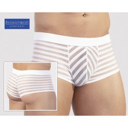 Boxer Con Transparencias...